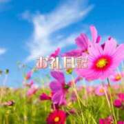 ヒメ日記 2026/09/02 16:05 投稿 紗帆(さほ) 渋谷蘭の会