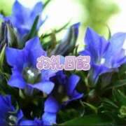 ヒメ日記 2026/09/03 06:25 投稿 紗帆(さほ) 渋谷蘭の会