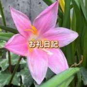 ヒメ日記 2026/09/04 04:05 投稿 紗帆(さほ) 渋谷蘭の会