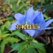 ヒメ日記 2026/09/04 20:35 投稿 紗帆(さほ) 渋谷蘭の会