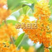 ヒメ日記 2026/09/16 20:55 投稿 紗帆(さほ) 渋谷蘭の会