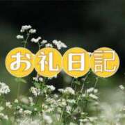 ヒメ日記 2026/09/24 23:15 投稿 紗帆(さほ) 渋谷蘭の会