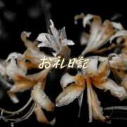 ヒメ日記 2026/10/05 17:07 投稿 紗帆(さほ) 渋谷蘭の会