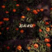 ヒメ日記 2026/10/06 22:26 投稿 紗帆(さほ) 渋谷蘭の会