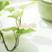 ヒメ日記 2026/10/07 18:05 投稿 紗帆(さほ) 渋谷蘭の会
