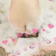 ヒメ日記 2026/03/17 14:10 投稿 まみ 山梨甲府甲斐ちゃんこ