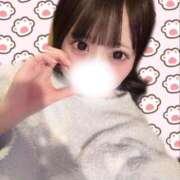 ヒメ日記 2026/03/12 02:15 投稿 にも【合法ロリろり美少女】 STELLA TOKYO－ステラトウキョウ－