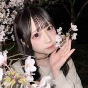 ヒメ日記 2026/05/03 04:36 投稿 にも【合法ロリろり美少女】 STELLA TOKYO－ステラトウキョウ－