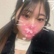 ヒメ日記 2026/03/12 12:21 投稿 みみ 素人ぽちゃカワ学園