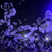 ヒメ日記 2026/04/16 22:42 投稿 みみ 素人ぽちゃカワ学園