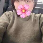 ヒメ日記 2026/04/06 14:01 投稿 すい 久喜鷲宮ちゃんこ