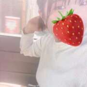 ヒメ日記 2026/04/12 12:41 投稿 すい 久喜鷲宮ちゃんこ