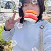 ヒメ日記 2026/04/12 15:01 投稿 すい 久喜鷲宮ちゃんこ