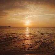 ヒメ日記 2026/03/19 22:16 投稿 遠藤なぎ 華椿