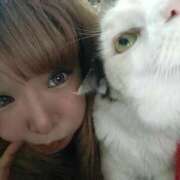 ヒメ日記 2026/03/30 11:30 投稿 ふみか ふぞろいの人妻たち