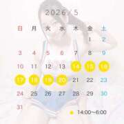 ヒメ日記 2026/04/23 12:33 投稿 あさひ プロフィール加古川