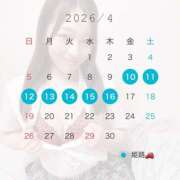 ヒメ日記 2026/03/24 07:30 投稿 あさひ プロフィール姫路