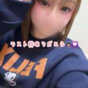 ヒメ日記 2026/03/14 17:43 投稿 まな サマンサ(和歌山)