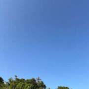 ヒメ日記 2026/10/08 08:23 投稿 山川 みずほ HANA-okinawa-