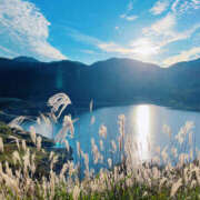 ヒメ日記 2026/03/31 12:49 投稿 まろ⭐️期間限定復帰 LOVEタッチ