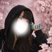 ヒメ日記 2026/03/10 09:32 投稿 ゆい【I乳は破壊力バツグン】 One More 奥様 新宿店