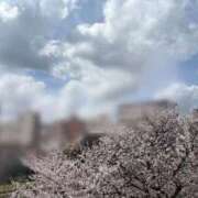 ヒメ日記 2026/04/06 17:32 投稿 ゆい【I乳は破壊力バツグン】 One More 奥様 新宿店