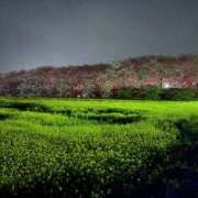 ヒメ日記 2026/03/29 21:39 投稿 あゆ 迷宮の人妻　熊谷・行田発