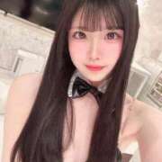 ねこ 🤍来週から🤍 ルーフ福井