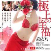 ヒメ日記 2026/05/12 23:13 投稿 茉依乃 大阪回春性感マッサージ倶楽部