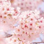 ヒメ日記 2026/03/23 06:31 投稿 あおい 水戸ソープランド　水戸スリーナイン(9990)