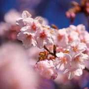 ヒメ日記 2026/03/24 05:11 投稿 あおい 水戸ソープランド　水戸スリーナイン(9990)