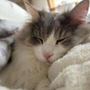 ヒメ日記 2026/03/15 16:18 投稿 春野 空花 (そらか） キングアンドクイーン