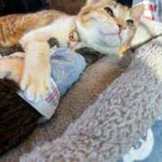 ヒメ日記 2026/03/19 16:09 投稿 春野 空花 (そらか） キングアンドクイーン