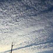 ヒメ日記 2026/06/05 12:24 投稿 まな☆これぞ大人の色気・・・☆ Honey