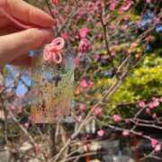 ヒメ日記 2026/04/07 16:01 投稿 さな ピンクコレクション大阪