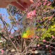 さな 次のご案内23:10〜🈳 ピンクコレクション大阪