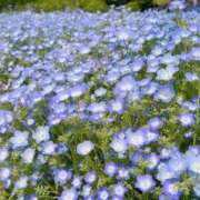 さな 次のご案内17:00〜🈳 ピンクコレクション大阪