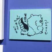 ヒメ日記 2026/06/23 14:21 投稿 さな ピンクコレクション大阪