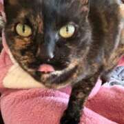 ヒメ日記 2026/03/21 20:53 投稿 ゆひな 横浜ハッピーマットパラダイス