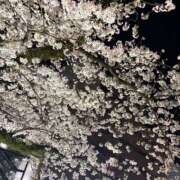 ヒメ日記 2026/04/09 17:13 投稿 ゆひな 横浜ハッピーマットパラダイス