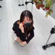 ヒメ日記 2026/03/13 17:00 投稿 りずむ PRISM(都城)