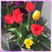 ヒメ日記 2026/03/16 09:07 投稿 新人・れな 人妻花かんざし