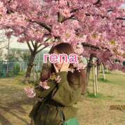 ヒメ日記 2026/03/17 09:35 投稿 新人・れな 人妻花かんざし