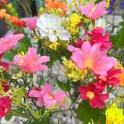 ヒメ日記 2026/03/18 21:19 投稿 新人・れな 人妻花かんざし