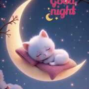 ヒメ日記 2026/03/20 00:40 投稿 新人・れな 人妻花かんざし