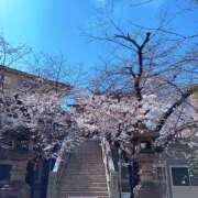 ヒメ日記 2026/03/27 12:18 投稿 新人・れな 人妻花かんざし