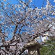 ヒメ日記 2026/03/28 12:02 投稿 新人・れな 人妻花かんざし