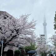 ヒメ日記 2026/04/04 14:32 投稿 新人・れな 人妻花かんざし