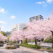 ヒメ日記 2026/04/06 07:57 投稿 新人・れな 人妻花かんざし