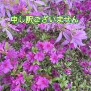 ヒメ日記 2026/04/27 09:58 投稿 新人・れな 人妻花かんざし